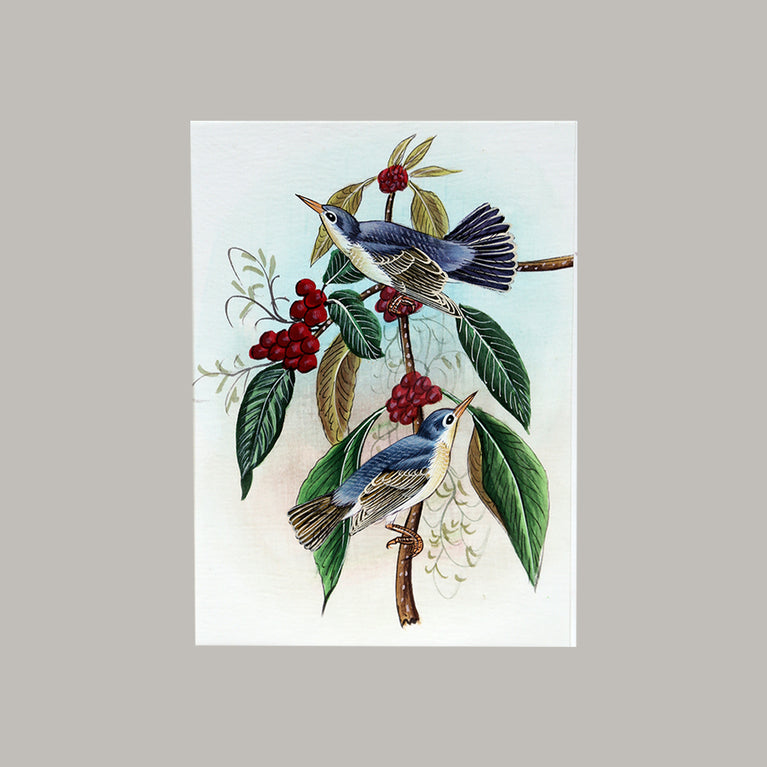 Bird painting two birds cherries white border white background