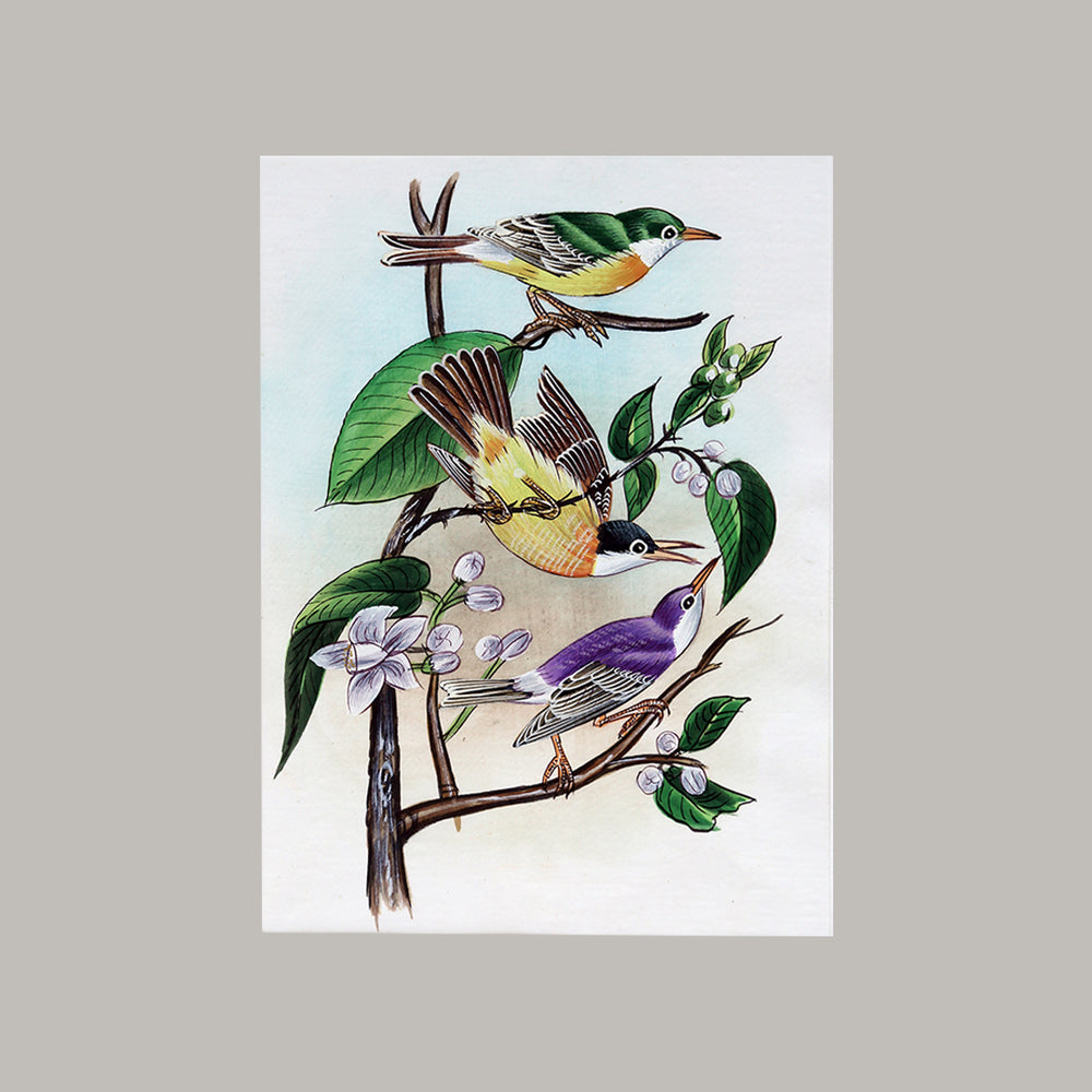 Bird painting three birds yellow purple white border white background