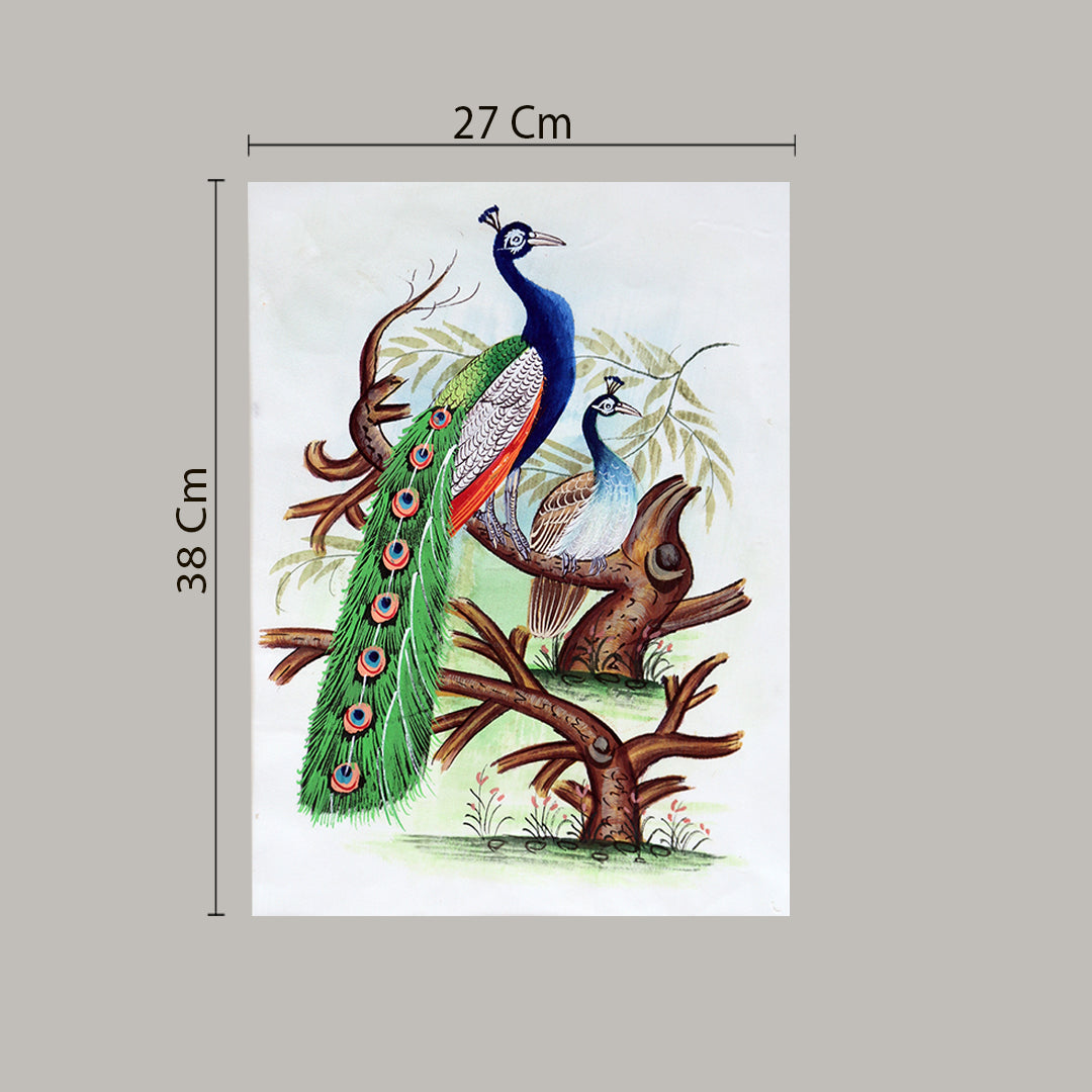 Bird Handmade Painting | Peacock Peahen | White border | White background