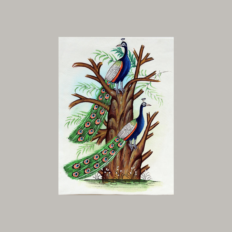 Bird painting Two peacocks white border white background