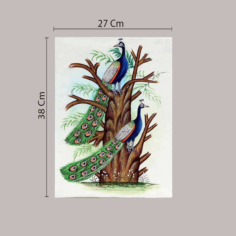 Bird painting Two peacocks white border white background