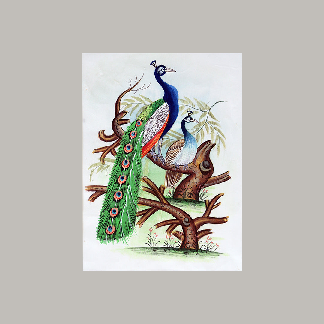 Bird Handmade Painting | Peacock Peahen | White border | White background